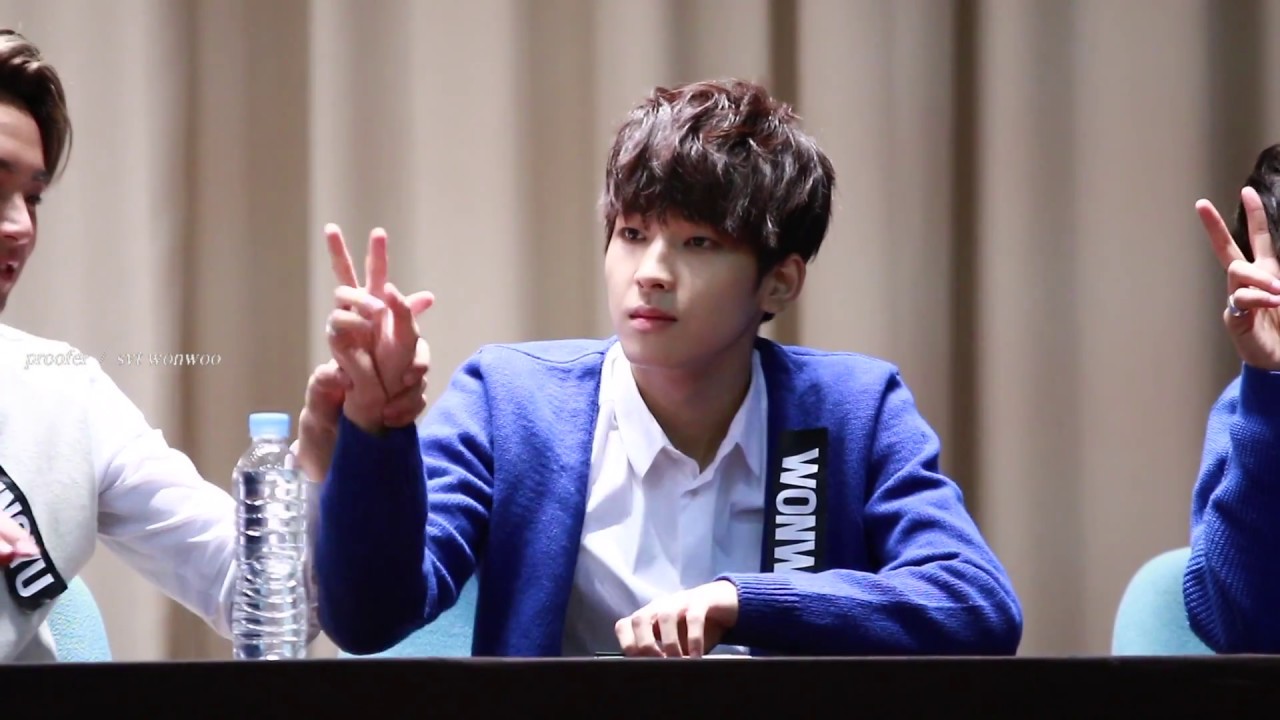 151101 세븐틴 만세 용산 쿨트랙팬싸 wonwoo ver. edit fancam