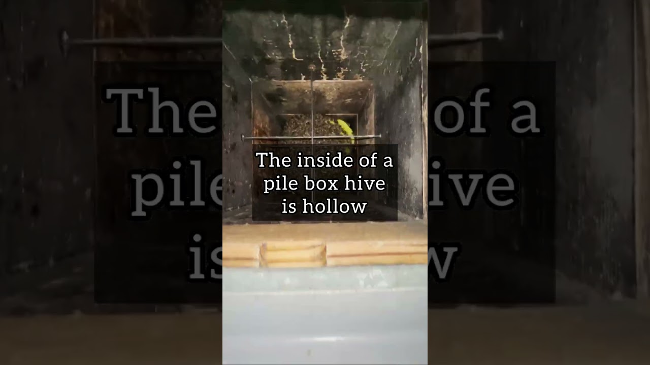 Why do we use a pile box hive in stead of a log hive?