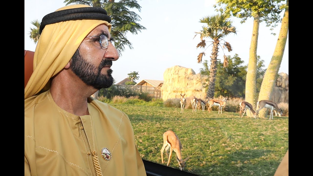 محمد بن راشد يزور سفاري دبي