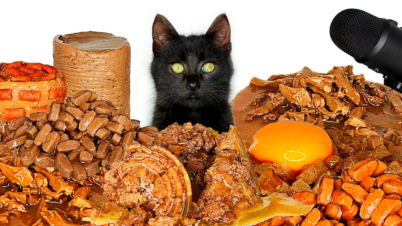 1 Hour Cat ASMR Eating Wet Food Compilation