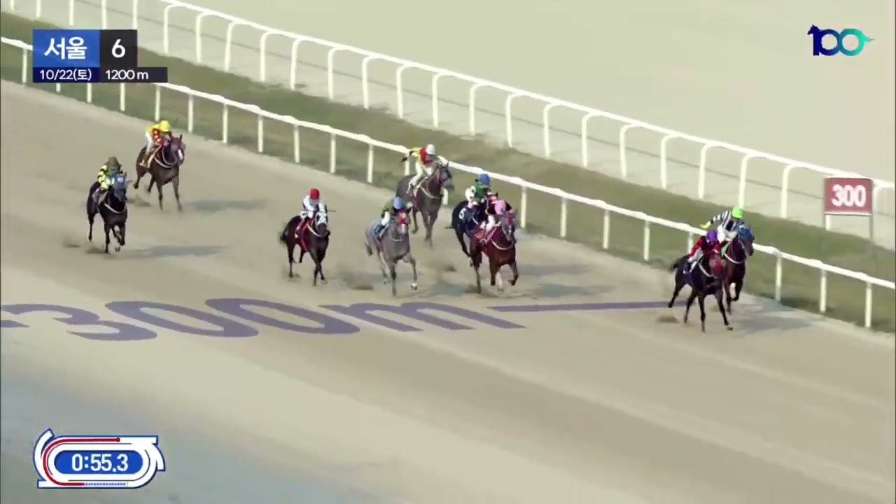 스탈렛.2세암말.5등급 1200m 우승