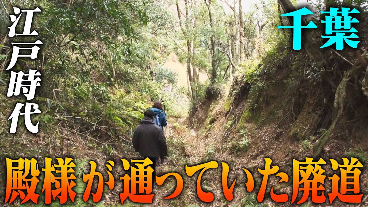 【千葉】江戸時代、殿様が通っていた廃道