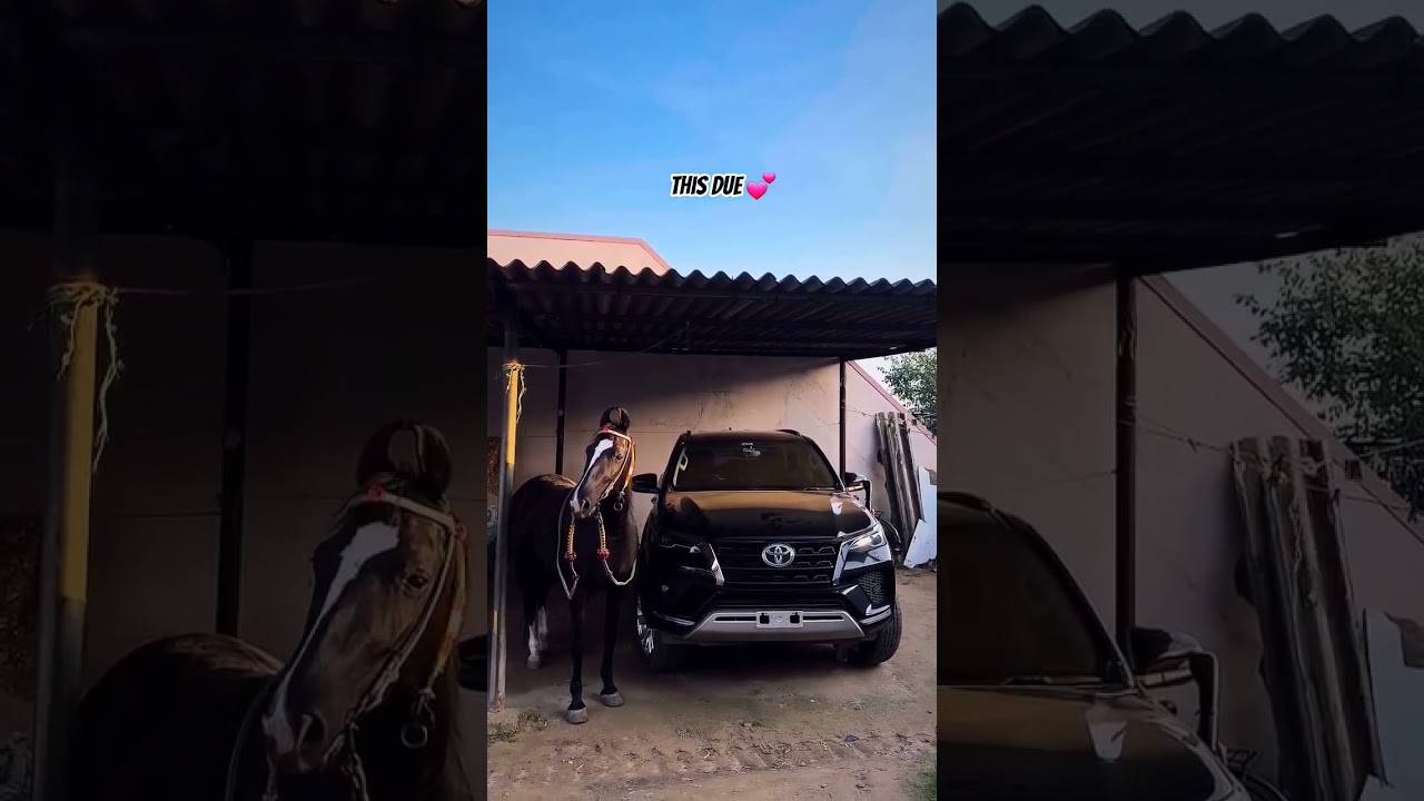 ₮&Oslash;Ɏ&Oslash;₮₳ ₣&Oslash;Ɽ₮Ʉ₦ɆⱤ  #fortunerlover #automobile #fortuner #trendingreels #toyotahilux  #youtubeshorts