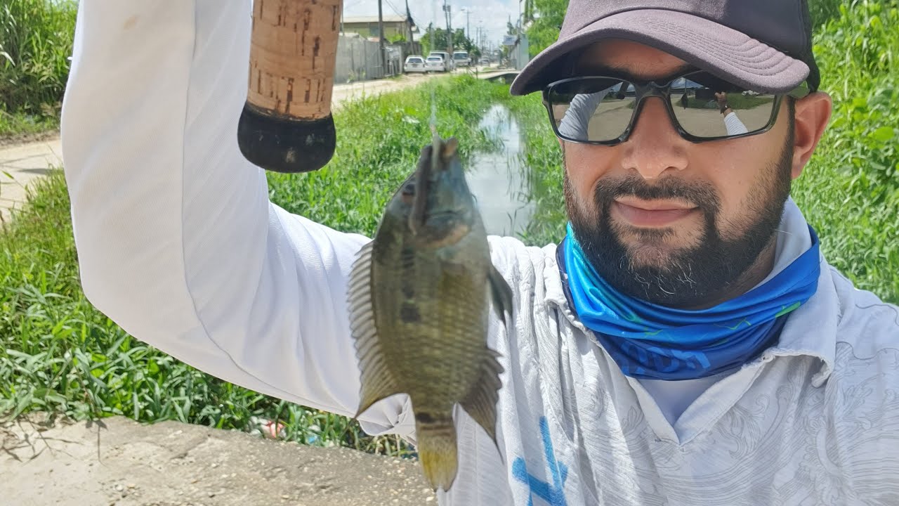 FISHING IN A DRAIN - Catching Beautiful Aquarium Fish (Cichlids) At The Side Of The ROAD!!!