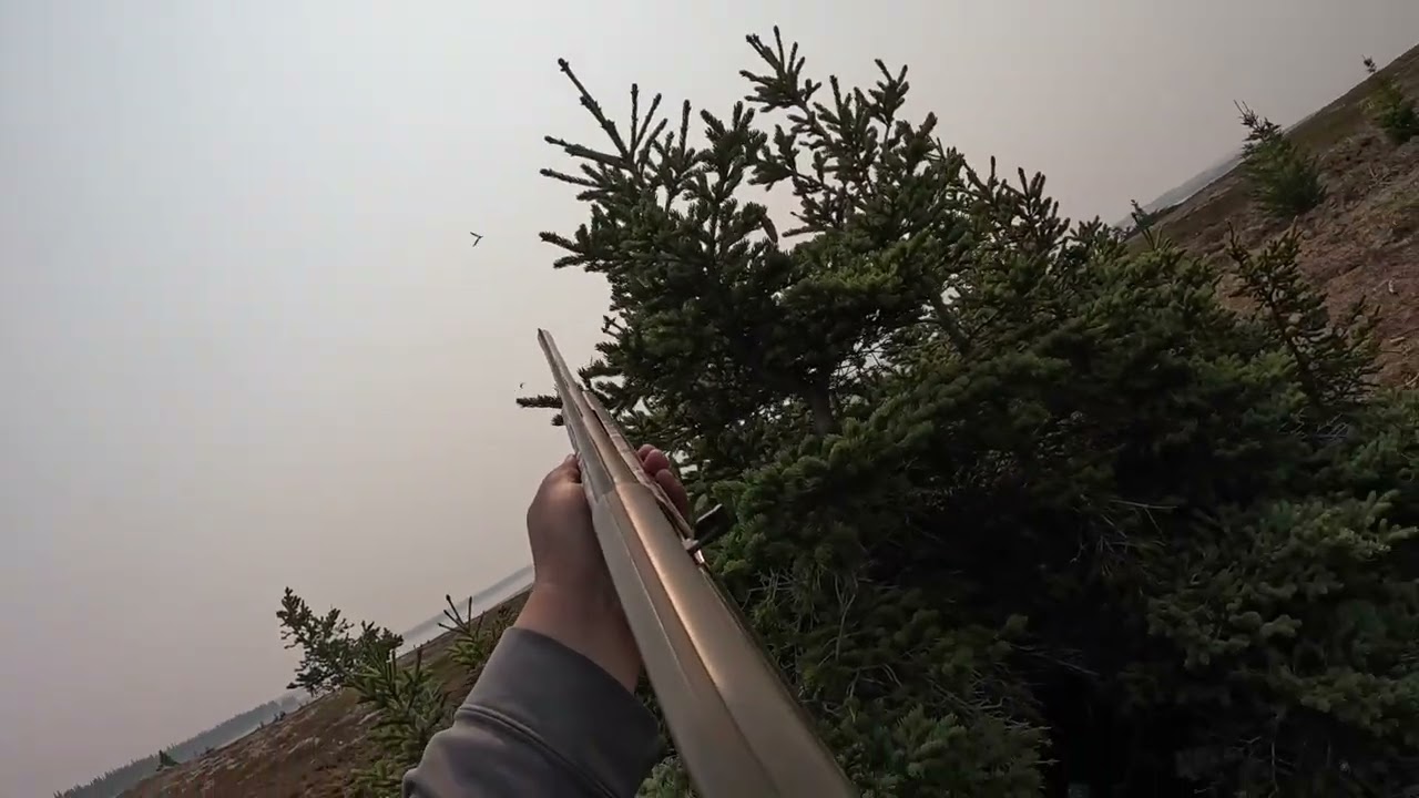 Long Necks Goose Hunting (Big Canada&rsquo;s) in James Bay, 2025