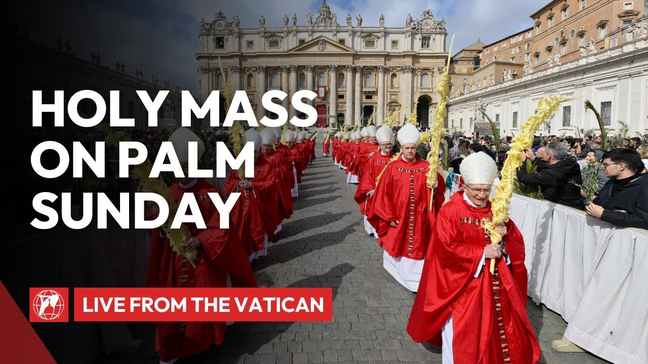 🔴 LIVE from the Vatican | Palm Sunday Mass | April 13, 2025