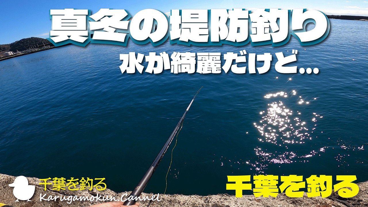 【千葉を釣るⅡR】真冬の堤防釣り、何が釣れる？
