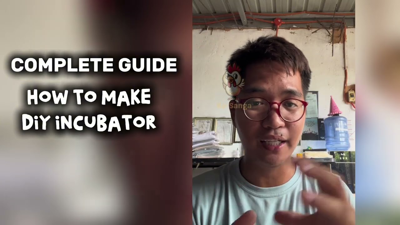 How to Make Diy Incubator Manual Incubator 