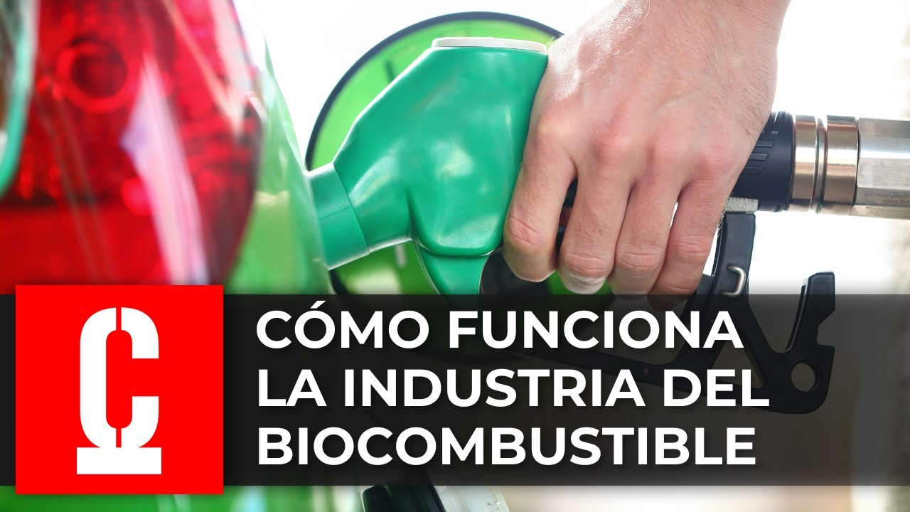 &iquest;C&oacute;mo se produce el biocombustible en Argentina?