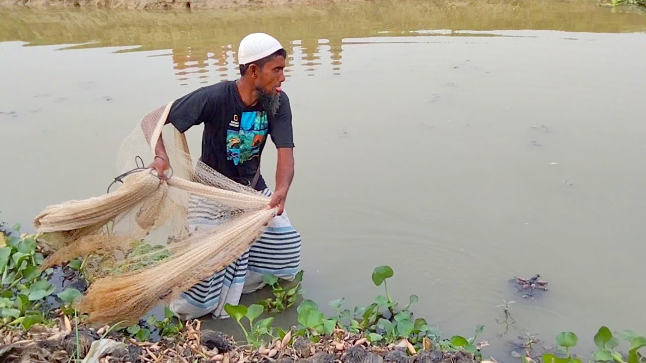 Cast net fishing - Traditional cast net fishing in village with beautiful natural (Part-234)