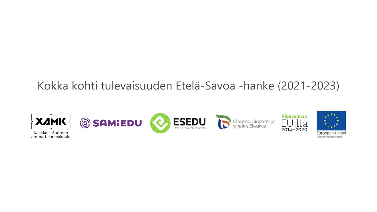 Kansainväliset osaajat Etelä-Savon elinvoimaa tukemassa -koostevideo eri aloilta