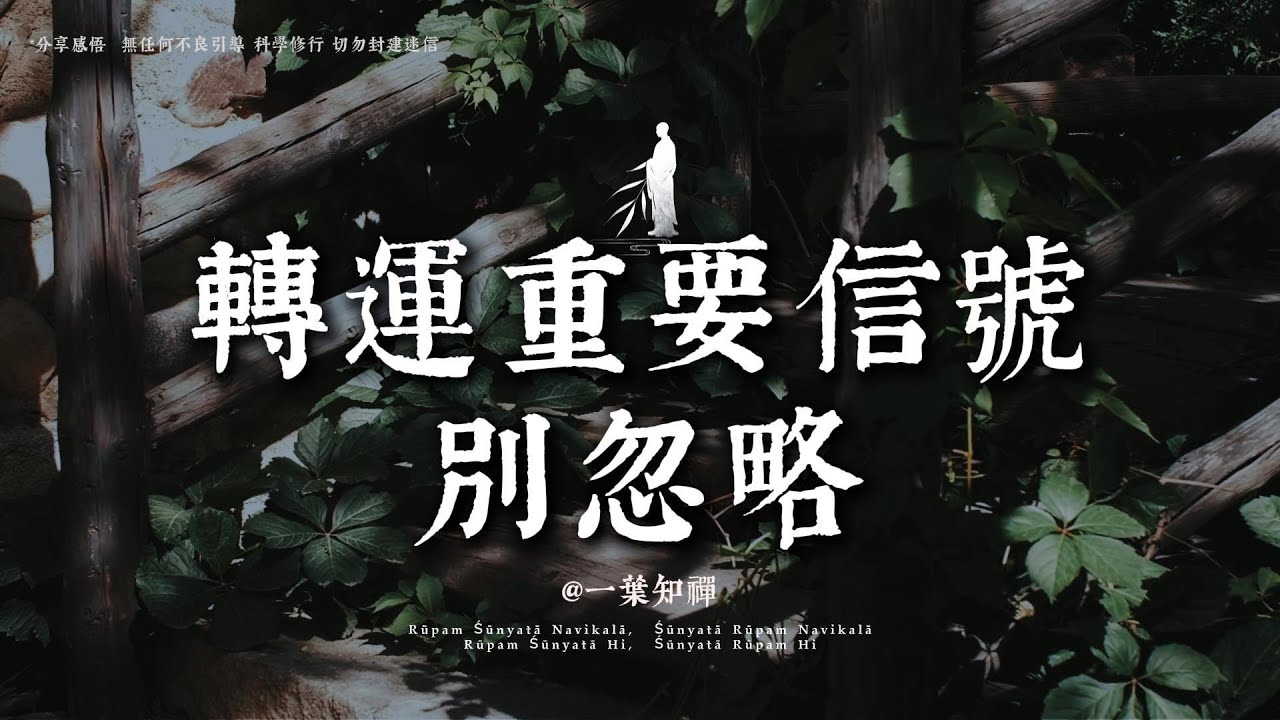 大運來臨前，人一定會先安靜下來丨#一葉知禪 #修行 #人生感悟 #國學 #治愈 #自我療愈 #佛學 #哲學