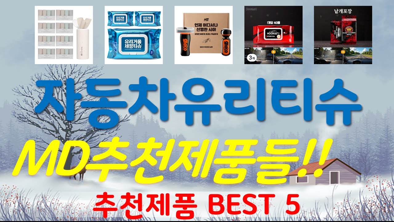 자동차유리티슈 추천, MD추천제품들!! 가성비 TOP5