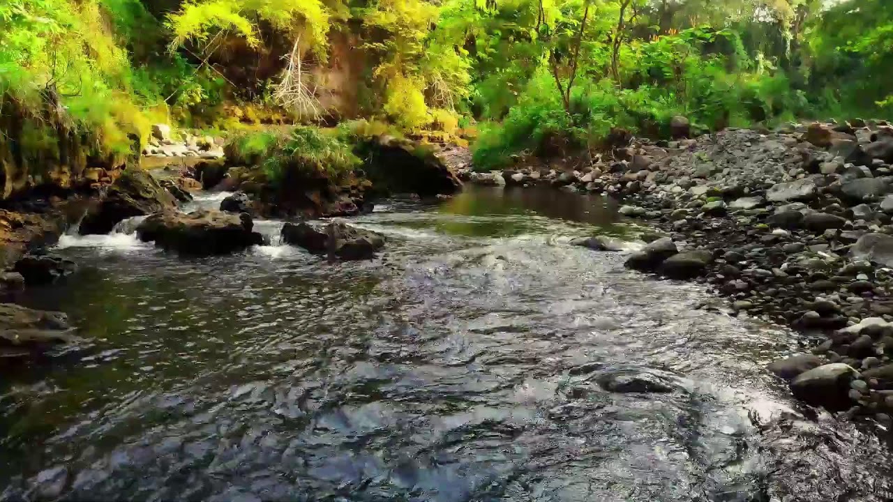 River Flow Emotional Healing – Deep Therapy for Stress and Peaceful Sleep