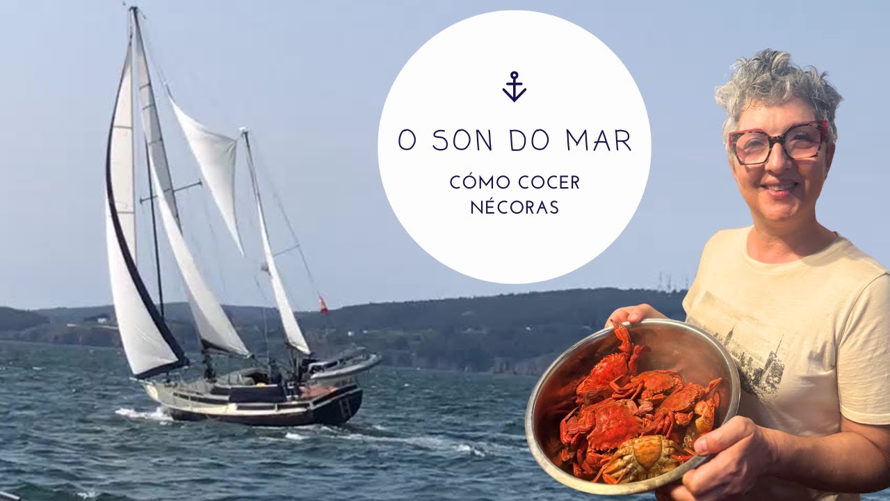 🦀 CÓMO COCER NÉCORAS 🦀 DE MANERA TRADICIONAL  🔝