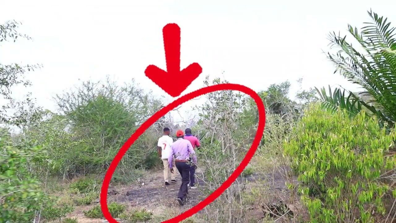 SHOCKING Reality: Charcoal Burning & Vandalization of FoTI's Farm in Kasikini, Kilifi County!
