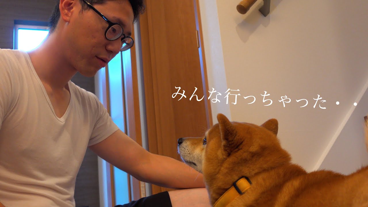 怖いよ！新居でひとり階段を登れない柴犬ハチが可愛すぎると話題に。