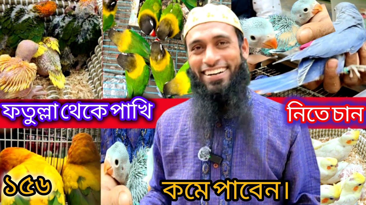 ফতুল্লা থেকে পাখি নিতে চান কমে পাবেন। If you want to buy birds from Fatullah, you will get them at a