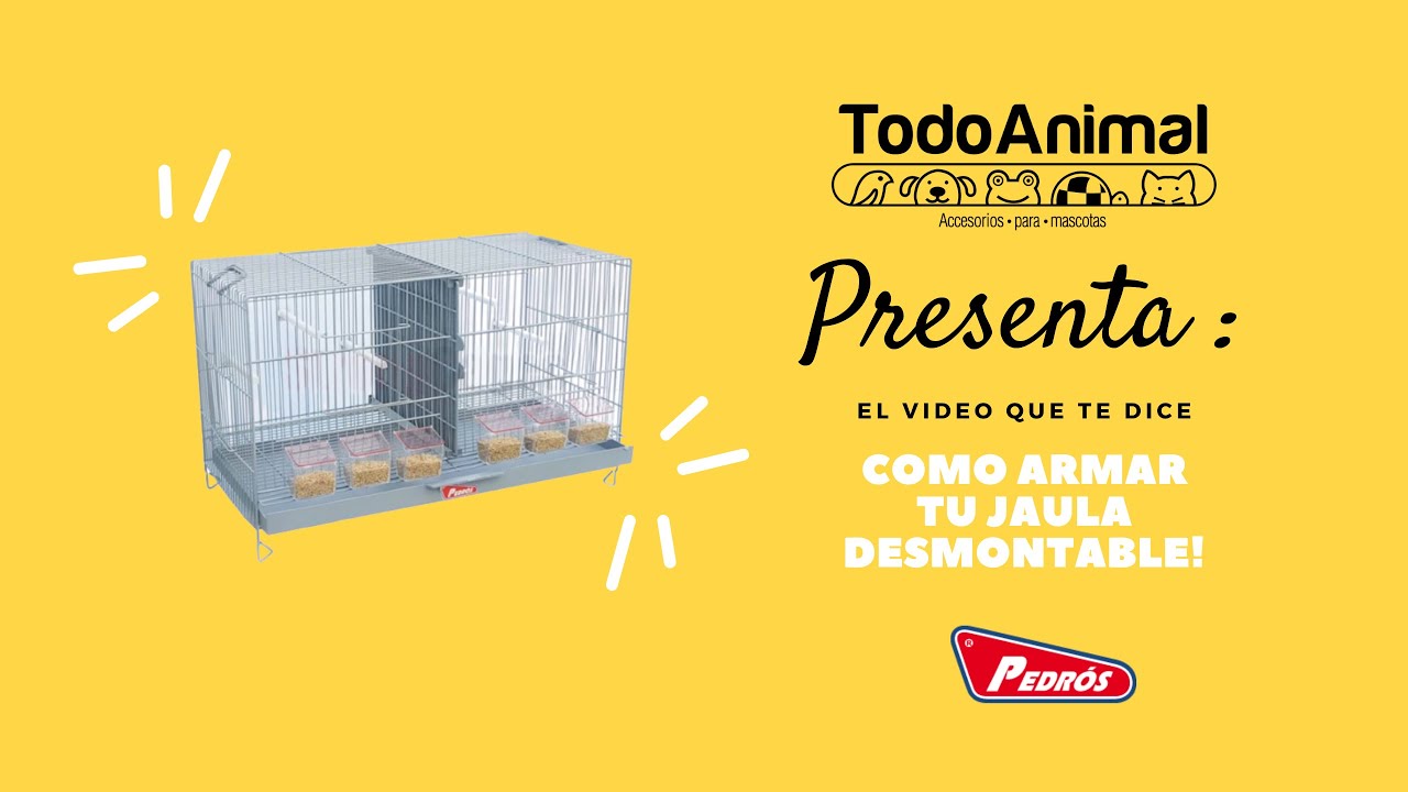 ¿Cómo armar la JAULA DESMONTABLE PEDROS para cria de canarios?