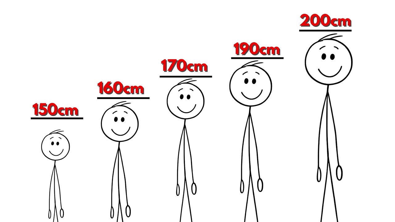 Every Hidden Height Advantage of Your Height Explained