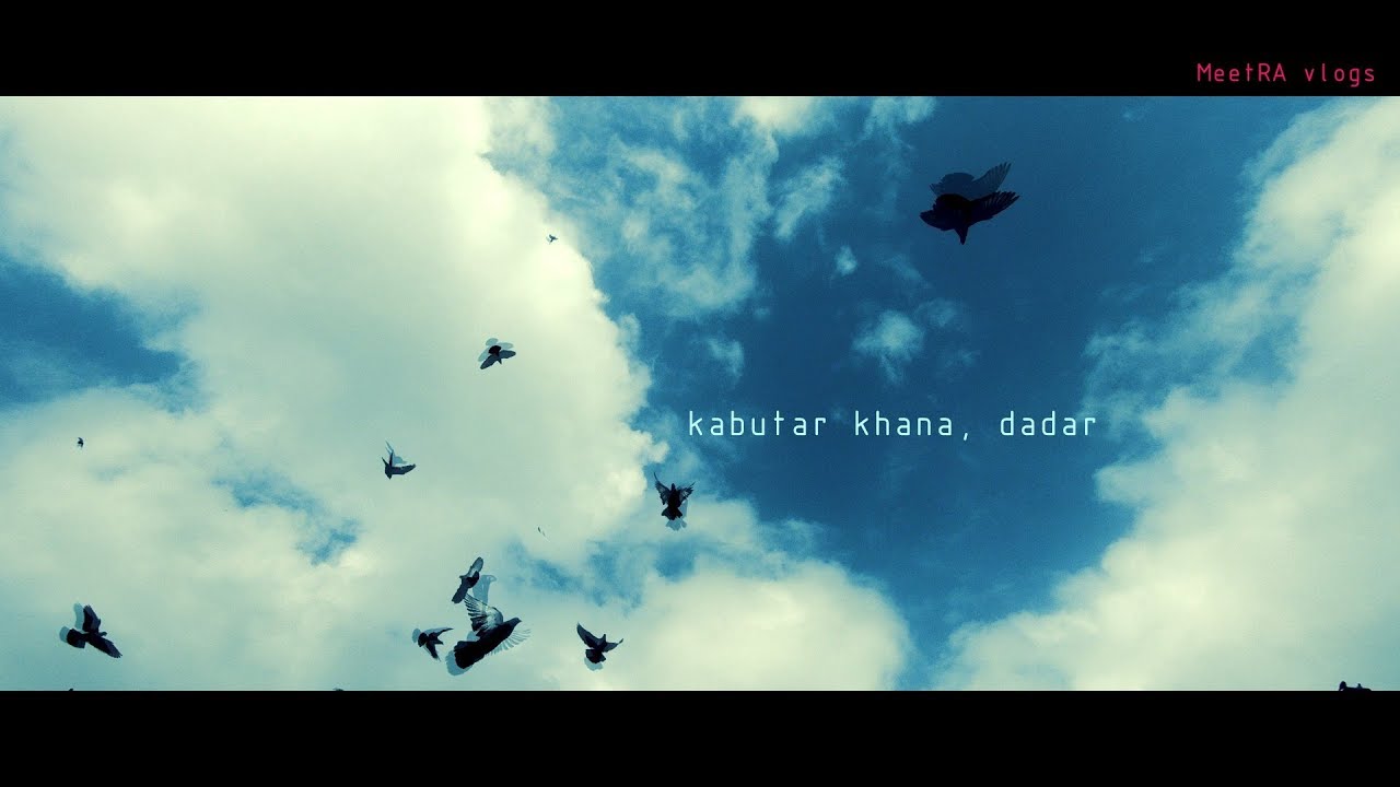 #gopro #mumbai KABUTARKHANA DADAR | FLORA FOUNTAIN | TAJ HOTEL | GATEWAY OF INDIA CINEMATIC