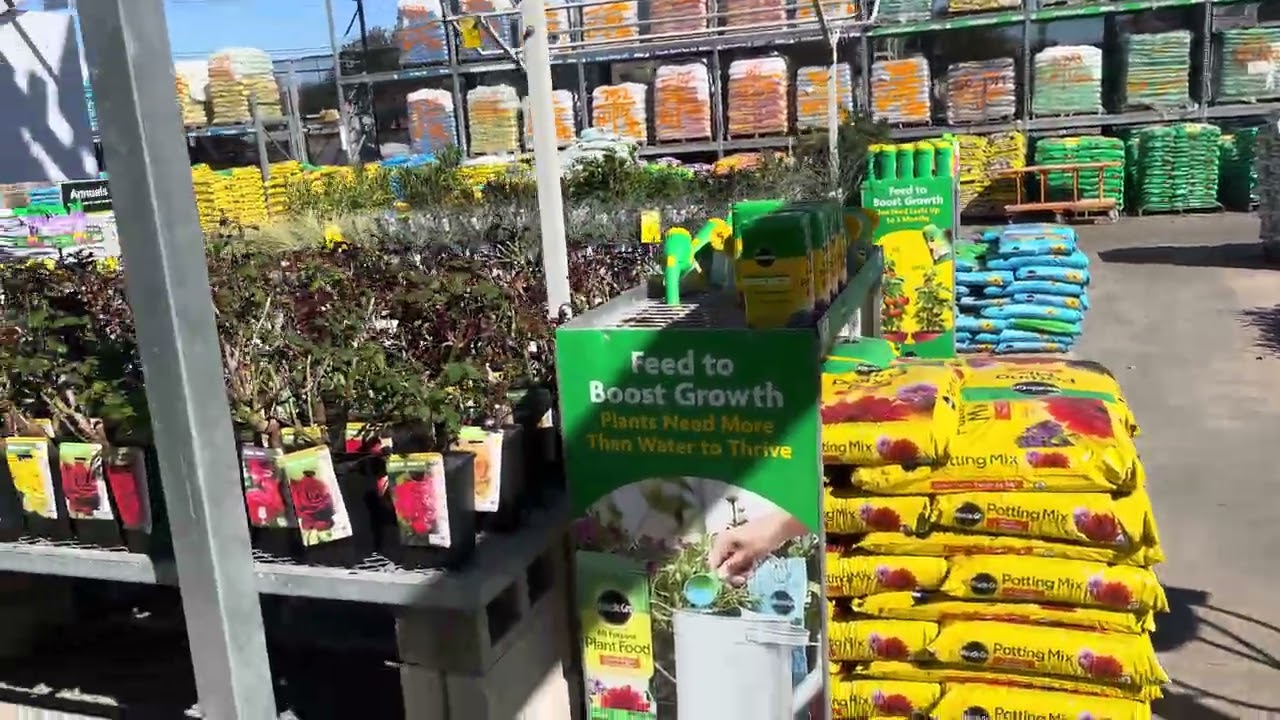 Altman Plants, Home Depot, Howard Lane Garden Centre Walk-thru Thu 5th February 2026
