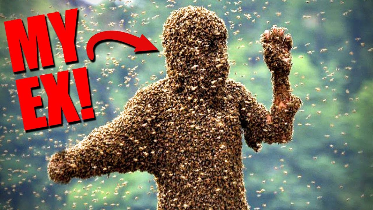 r/Nuclearrevenge I ATTACKED MY EX WITH 10,000 BEES!