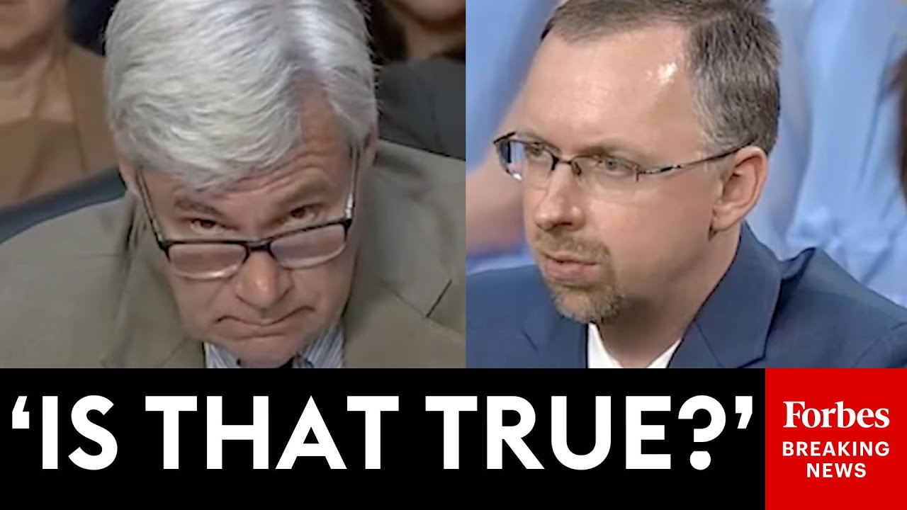 Sheldon Whitehouse Grills Trump Judge Nominee Over Whether He Worked To Stop Same-Sex Marriage