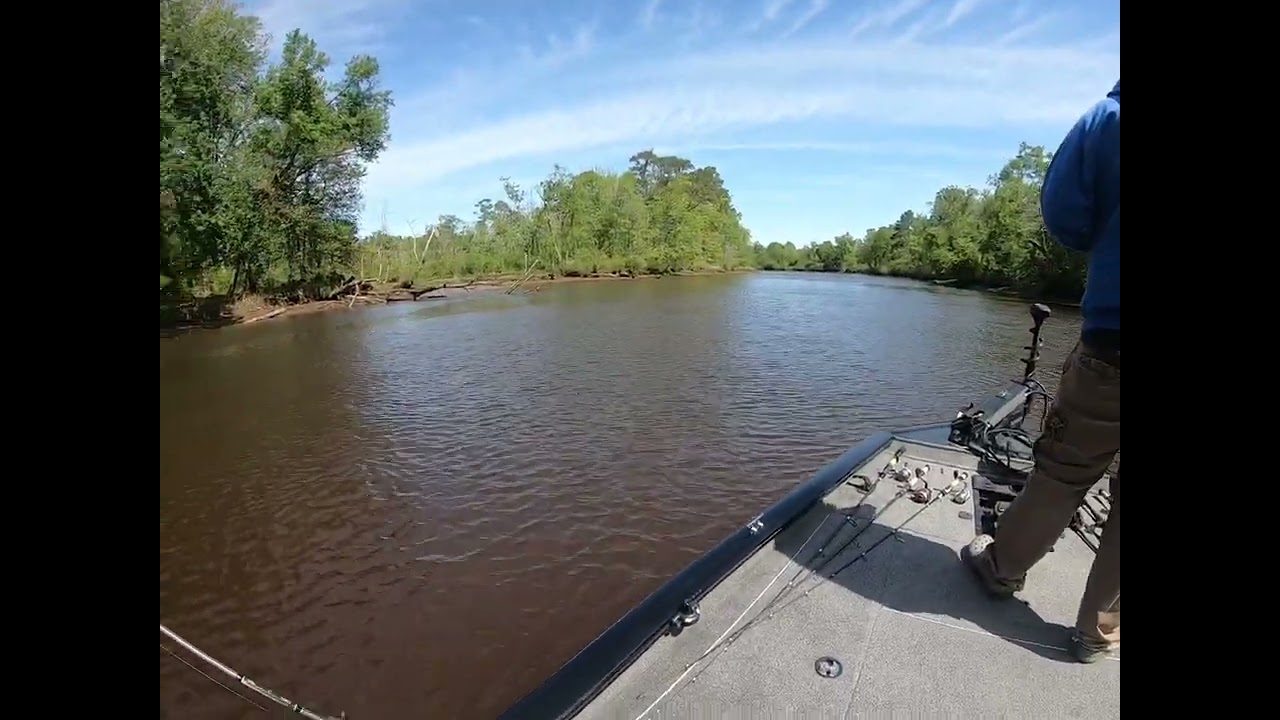 Pamunkey River Trip