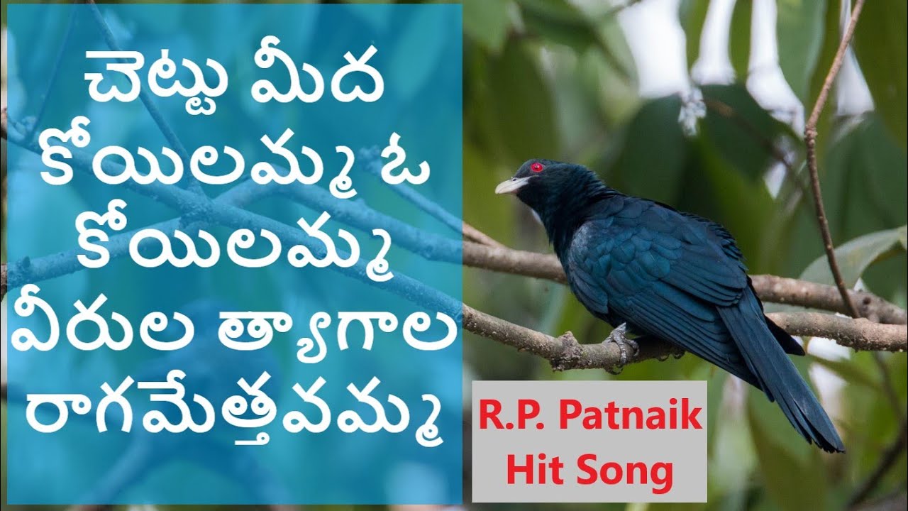 Chettu meeda koyilamma || చెట్టు మీద కోయిలమ్మ వీరుల త్యాగాల రాగమేత్తవమ్మ ||  Viplava Gurthulu