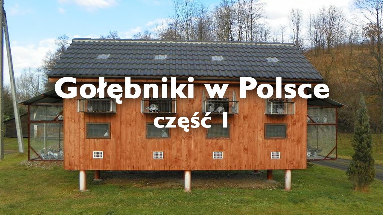 Gołębniki w Polsce - część 1