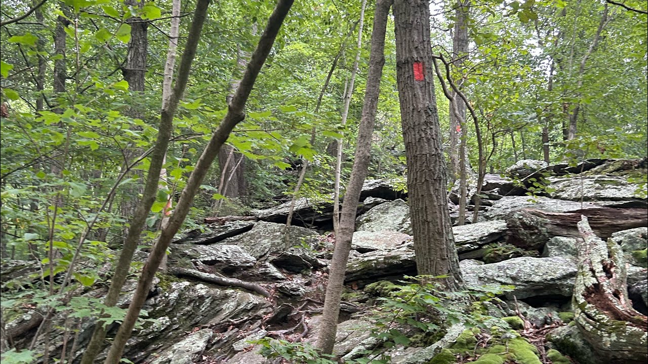 Pinnacle overlook via conestoga trail Pennsylvania