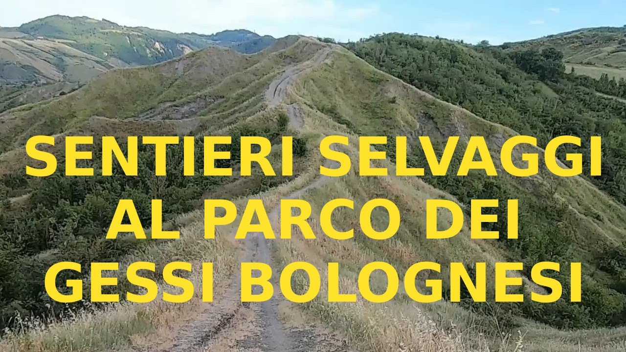 Sulla cresta dei colli al Parco dei Gessi Bolognesi - Itinerario Castel de' Britti - Settefonti