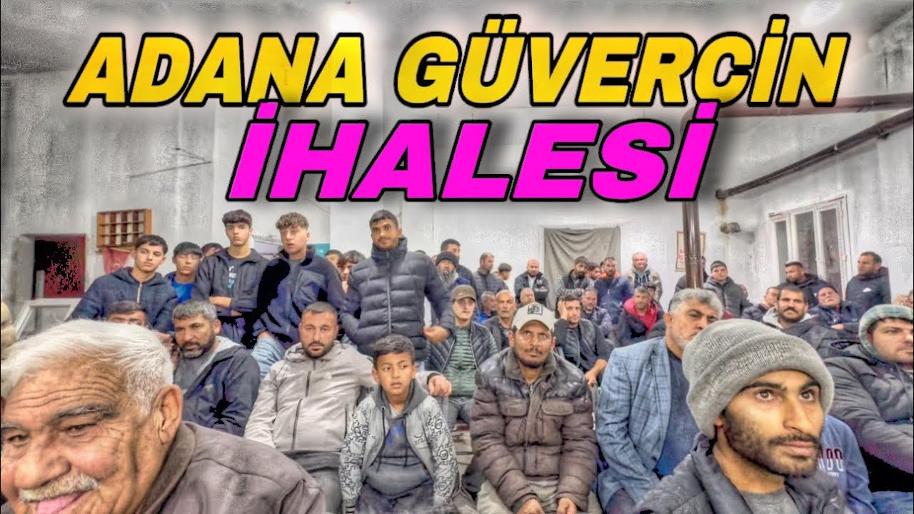 KUŞLAR ÇOK PAHALI DİYENLER BU İHALEYİ İZLESİN !!! ADANA GÜVERCİN İHALESİ