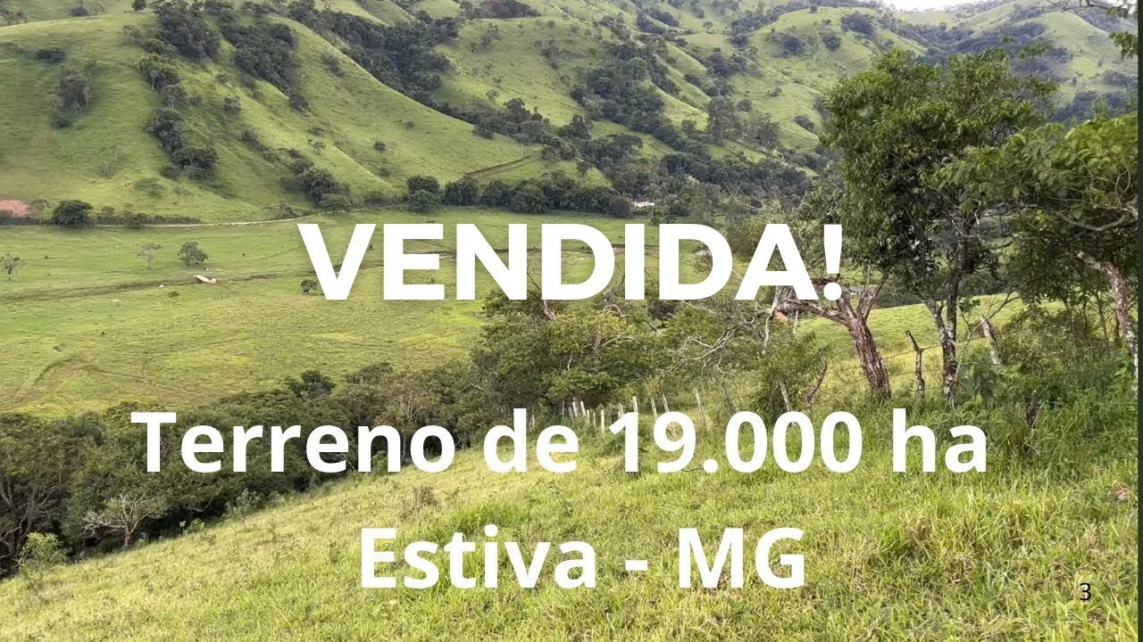 Com Nascente Pastagem e Mata Nativa e fácil acesso pela rodovia.