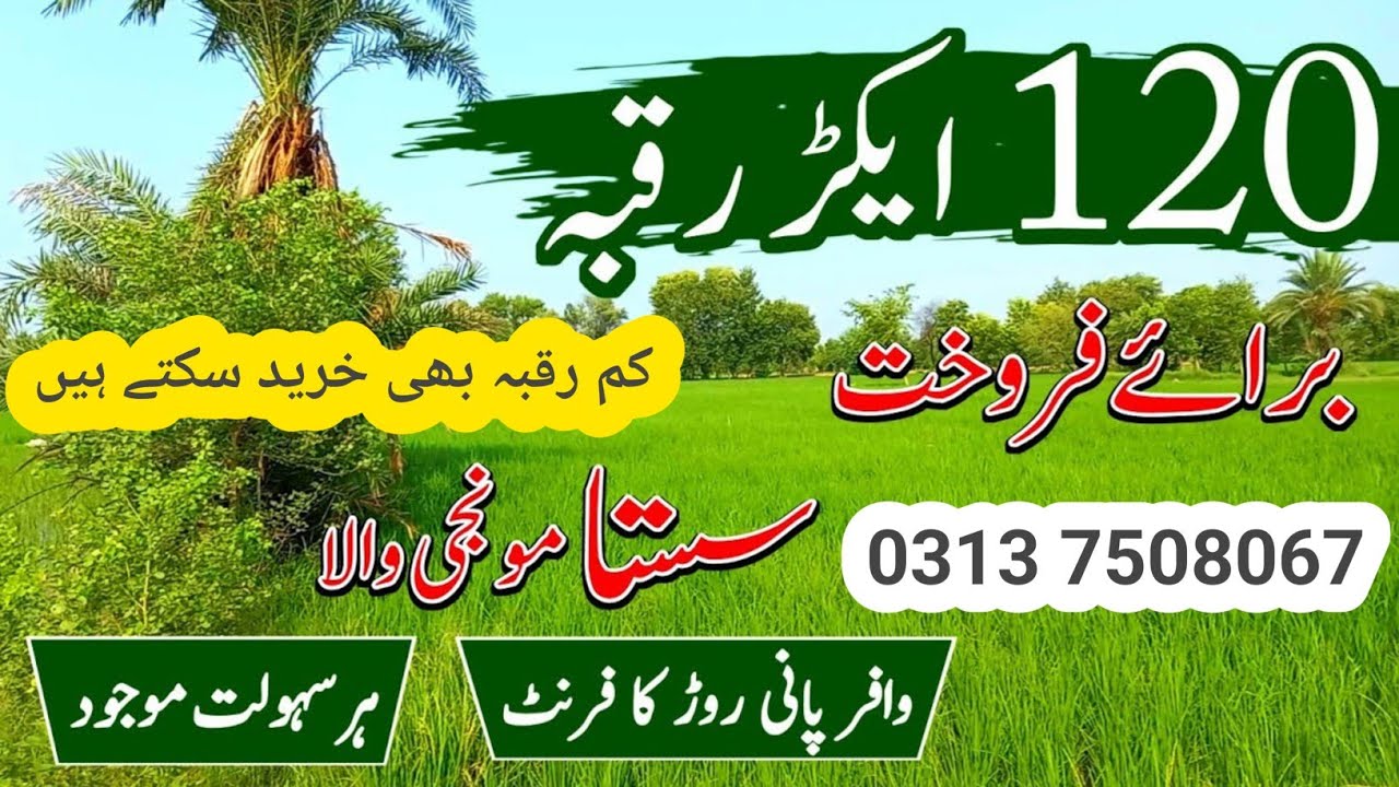 Agriculture land for sale in Punjab Pakistan  | zameen for sale in Punjab Pakistan | #landforsale 
