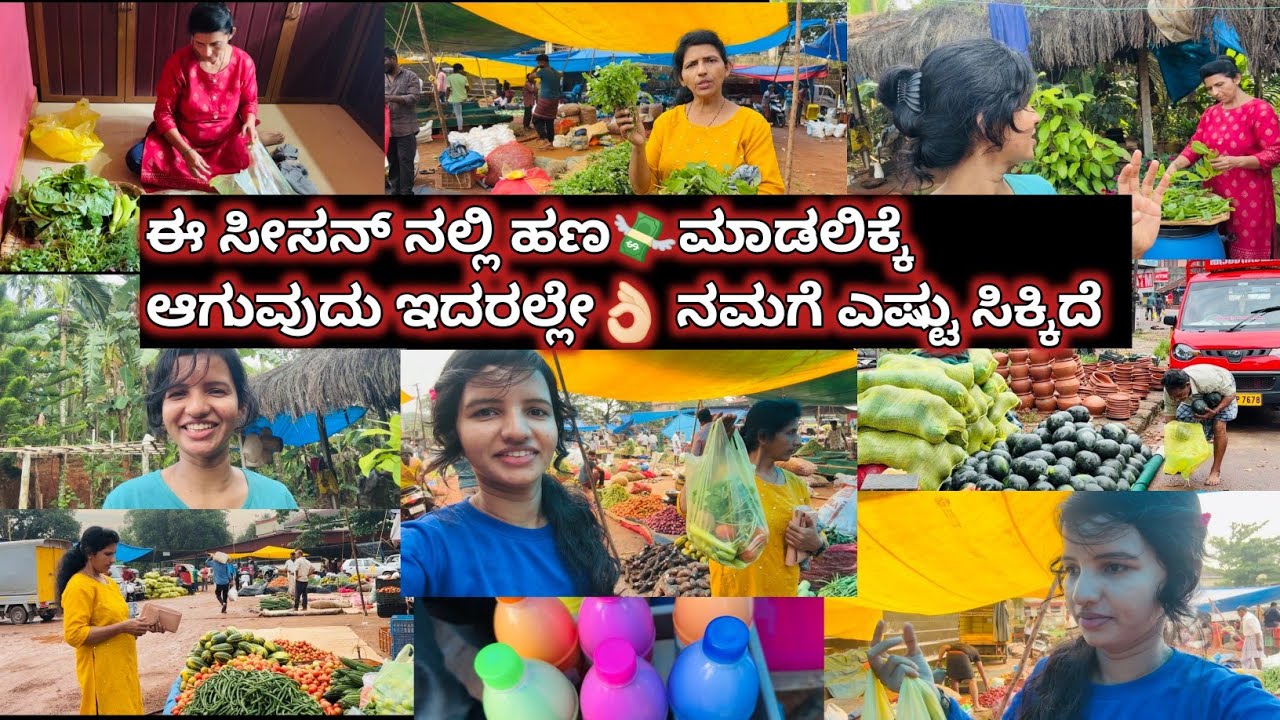 ಈ ಸೀಸನ್ ನಲ್ಲಿ ಹಣ💸ಮಾಡಲಿಕ್ಕೆ ಆಗುವುದು ಇದರಲ್ಲೇ👌🏻 ನಮಗೆ ಎಷ್ಟು ಸಿಕ್ಕಿದೆ|ಬೆಳಗ್ಗೆ ಬೇಗ ಎಲ್ಲಿಗೆ ಹೋಗಿದ್ದೇವೆ