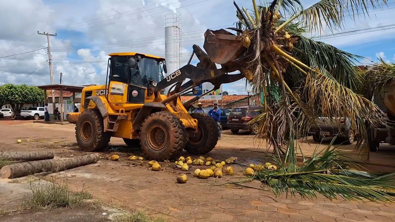 FAZENDO A RETIRADA DOS COQUEIROS (OU COCO DA Bahia)PÁ CARREGADEIRA JCB 426ZX 