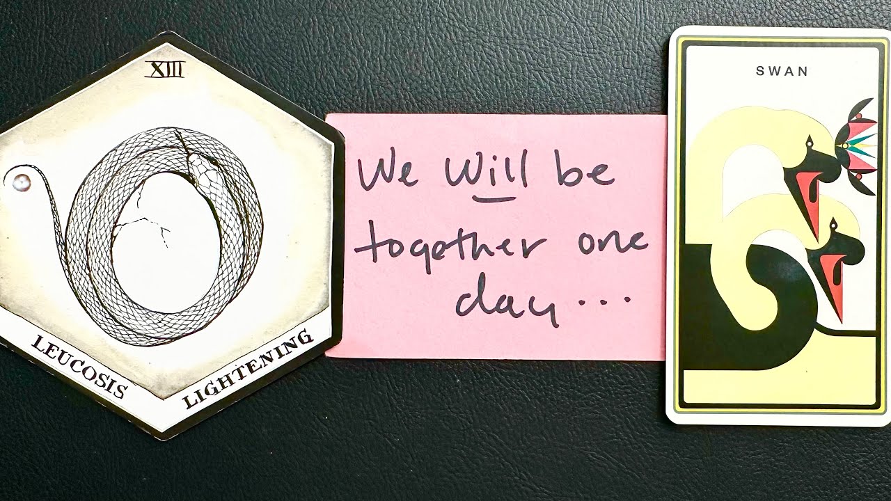 YOUR SOULMATE IS HERE (or will be soon…) 🦢 You are destined to be together in love 🤍♾️🤍