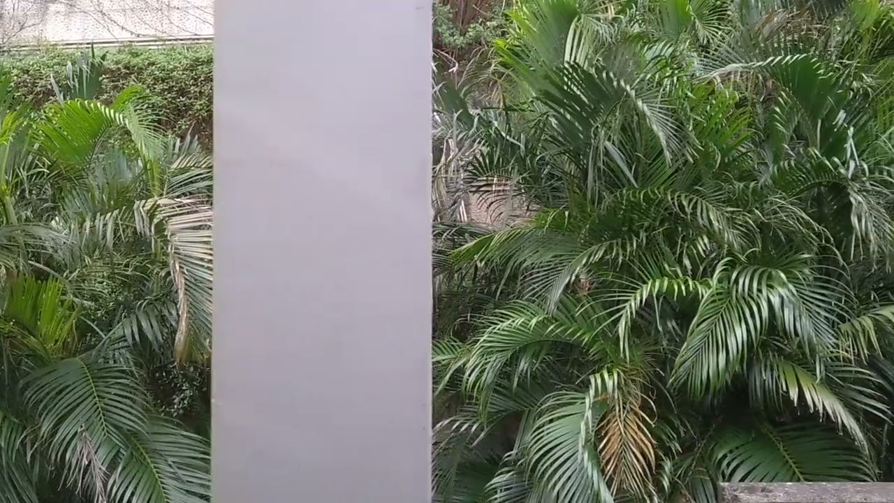 台鐵汐止站~南港站搭車紀錄