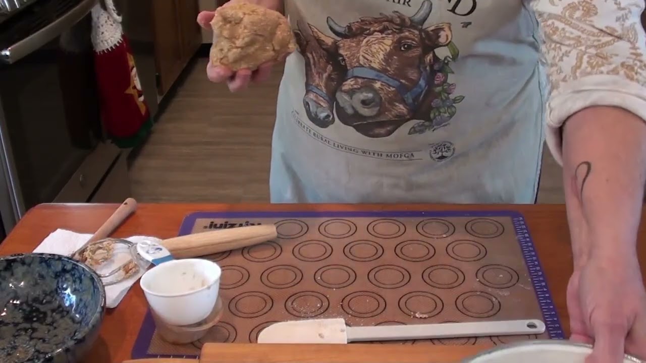 Dog Biscuits
