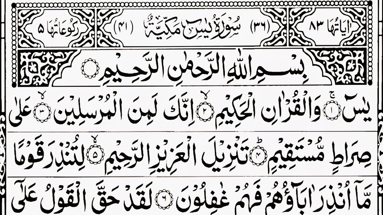 🌾 Surah Yaseen With Ar-Rahman & Al-Mulk | Relaxing Vibes (Vol. 282)
