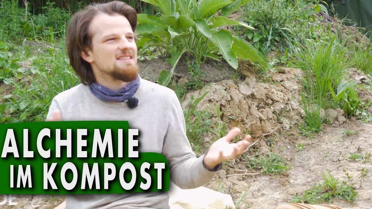 Heißrotte beim Kompost Eine alchemistischer Transformation