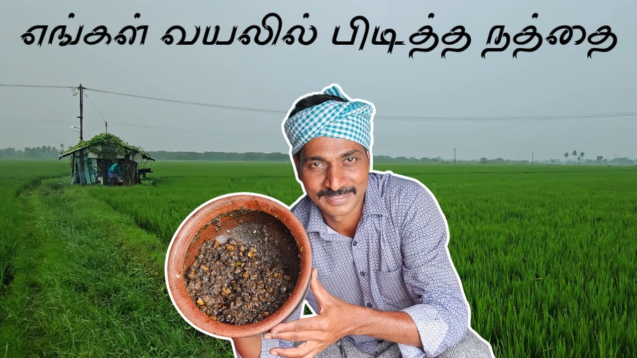 நத்தை மிளகு பிரட்டல் | Snail Pepper Fry | Andrum Indrum | Mams Masala