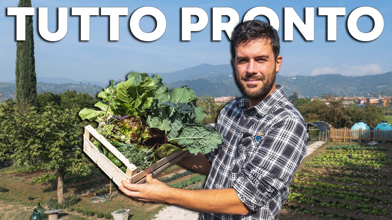 Ho raccolto le prime VERDURE da VENDERE