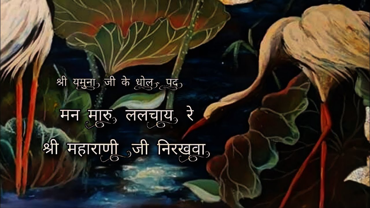 मन मारु ललचाय रे श्री महाराणी जी निरखवा ||🪷