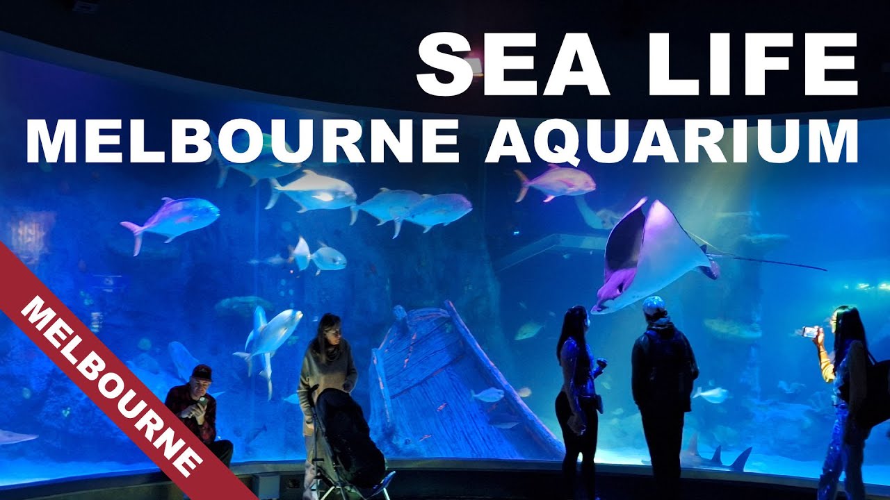 SEA LIFE Melbourne Aquarium