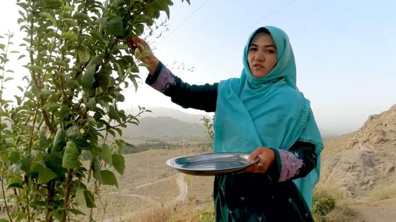 در فصل تابستان جاغوري چیزی از بازار نمی خریم همه خوراکی از زمین می‌آید🥰 Organic and natural foods
