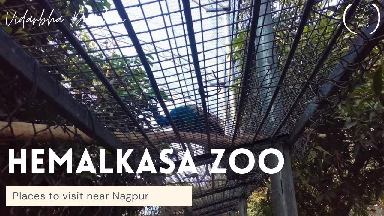 Hemalkasa Zoo | Places to visit in Nagpur