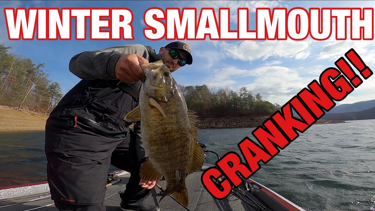 Crankbaits Cash CHECKS!! South Holston Lake